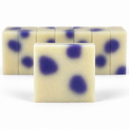 Black Raspberry Vanilla, with a sharp foreground soap bar and a softly blurred row of bars on a white background.