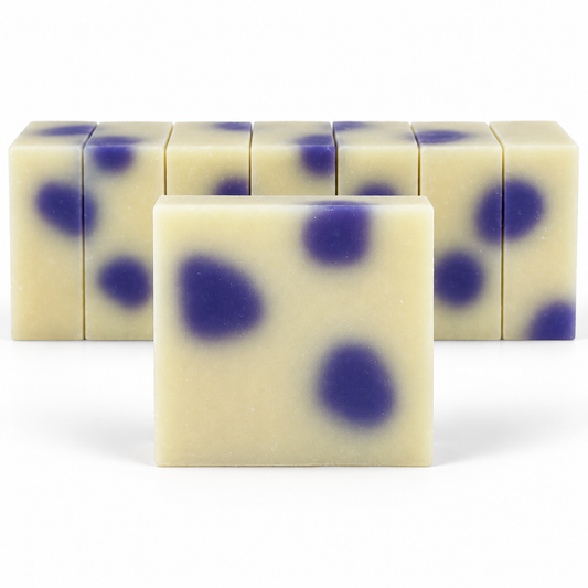 Black Raspberry Vanilla, neatly aligned soap bars in sharp detail on a white background.